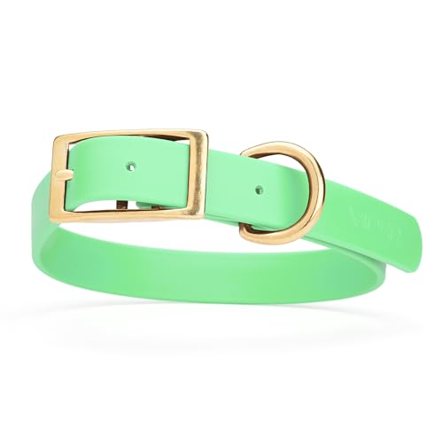 Image of Viper Biothane Heavy Duty Waterproof Dog Collar Strong Coated Nylon Webbing w /Solid Brass Hardware Odor-Proof for Easy Care to Clean High Performance Fits Small Medium or Large Dogs, Sea Foam Green