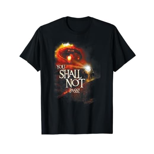 The Lord of the Rings You Shall Not Pass Camiseta