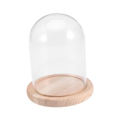 VINTORKY Glass Dome Flower Cover Handmade Portable and Practical Valentine's Day or Birthday