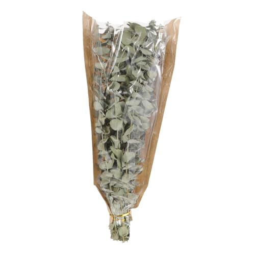 Hojas secas de eucalipto y ramas de lavanda Hemobllo miniatura 1