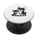 Chiwawa Lovers Family with Fun Companions