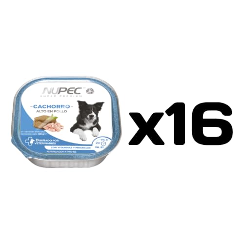 La Mejor Recopilación de Nupec cachorro razas pequeñas comprados en linea. 15 La Mejor Recopilación de Nupec cachorro razas pequeñas comprados en linea. 15