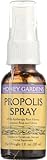 Honey Gardens Propolis Spray, 1 Ounce