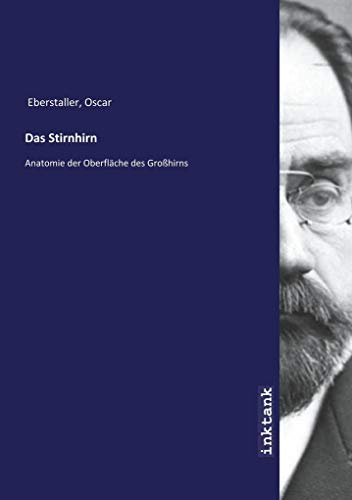 Das Stirnhirn: Anatomie der Oberfläche des Großhirns