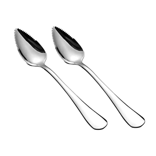 BEAHING Cucchiai di Pompelmo Cucchiai da Dessert per Frutta semiseghettati in Acciaio Inossidabile Argento 2 Pezzi