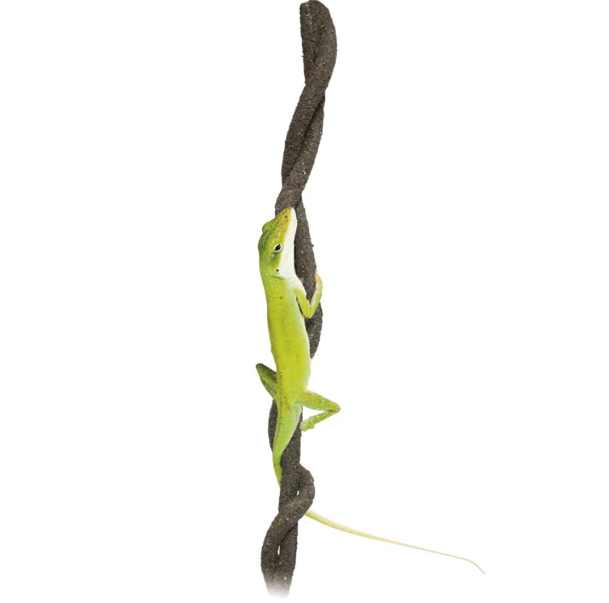 Liana para Reptiles Repti Selva 1,20 cm: Entorno Natural y Enriquecido para Terrarios - CPA