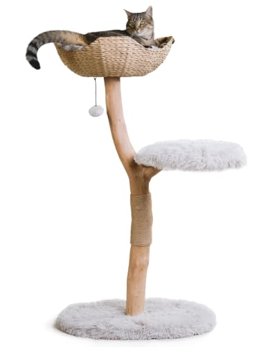 Image of Mau - Modern Wood Cat Tree Tower with Scratching Post, Aesthetic Cat Condo