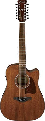 Ibanez AW5412CE
