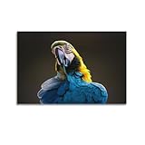 OKNGB Poster Oiseau Animal Ara Bleu et Jaune 30 x 45 cm