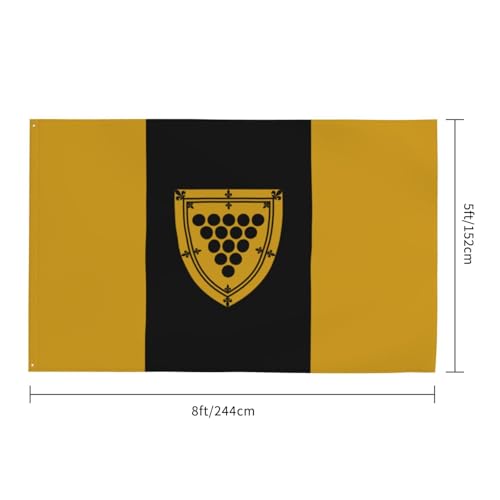 Drapeau du comté de Cornwall de qualité extérieure aux finitions soignées