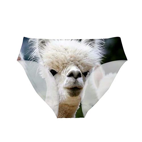 Dellukee Women's Sexy Underwear Briefs Alpaca Print Breathable Comfortable Hipster Panty for Bachelorette Party Gag Gift