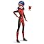 Ladybug V2