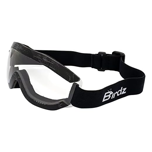 Birdz Thrush Sport Skydiving Snowboarding ATV Motorcycle Riding Goggles Adjustable Strap (Clear)