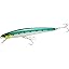 614 Pacific Sardine