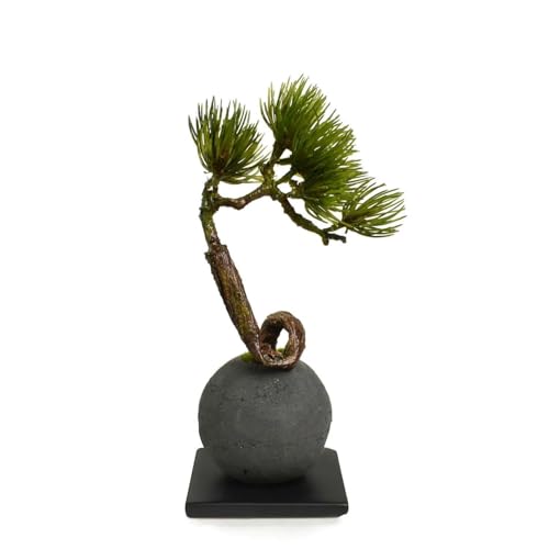 PRIMA   wY{[(M) CUPBON ~ tFCNO[