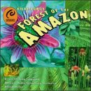 Forest Of The Amazon