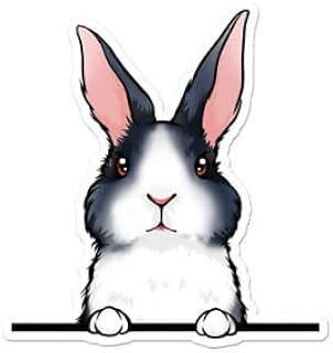 Pack of 4-3 Inch Stickers - Peeking Dutch Rabbit Vinyl Decal Sticker