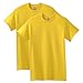 Gildan Men's Heavy Cotton Adult T-Shirt, 2-Pack, Daisy, Medium