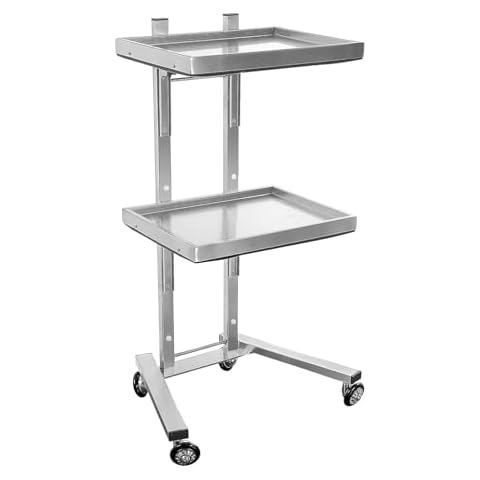 ZGSYH 2 Tier Salon Trolley,New Stainless Steel Rolling Cart with Trays & Wheels,Foldable Kitchen Storage Trolley Utility for Hair Salon Tattoo Studio Spa Beauty Shop(Silver) Cover