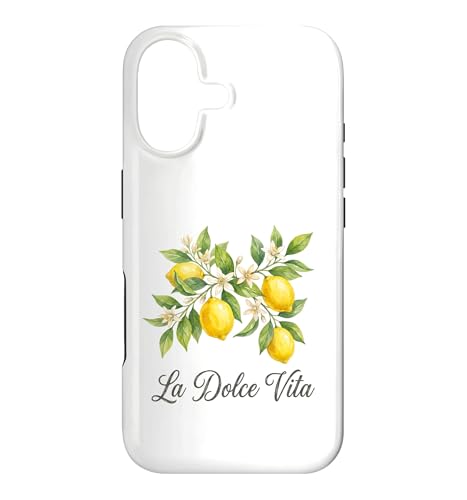 La Dolce Vita ������ �C�^���A�� �� �������`�F�b�� �A�}���t�B�C�� �X�}�z�P�[�X iPhone 17 �p