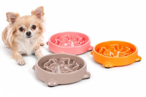 Flamingo Gamelle Anti Glouton Chien 0.3L - pour Petits Chiens - Gamelle d'alimentation Lente - Favorise Une Alimentation Saine Et Une Digestion Lente - 16x3.5 cm - 300ML - Pas de Choix de Couleur