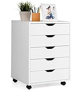 SILKYDRY 5 Drawers File Storage Cabinet, 26.5" Vertical Filling Cabinet for Home Office, Under De...