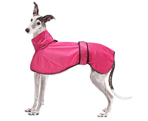 Kateluo Hunde-Regenmantel bei Amazon ansehen