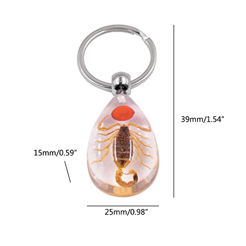 Maouira Mode Ambre Résine Porte-clés Réel Insecte Scorpion Scarabée Araignée Guêpe Fourmi Pendentif Porte-clés Cadeau pour Femmes Hommes Enfants Insecte Porte-clés résine Porte-clés Pendentif – vue 5