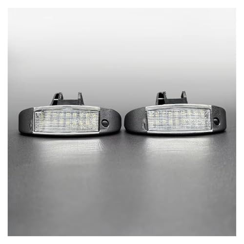 Luz matrícula LED blanca coche Fiat Ducato alta visibilidad posterior anti-parpadeo 1 par