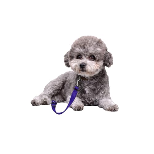 Laisse de voiture chien réglable BLMHTWO pour sécuriser les trajets - 15