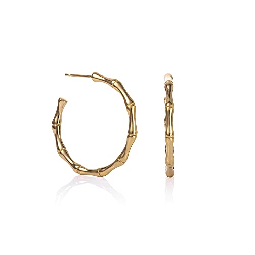Namana Pendientes de aro de bambú para mujeres y adolescentes, aros grandes para mujer en un patrón de bambú con caja de regalo Cover