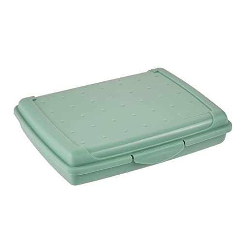 keeeper Frischhaltedose mit Klickverschluss, 17 x 13 x 3,5 cm, 500 ml, Luca Mini, Nordic Green