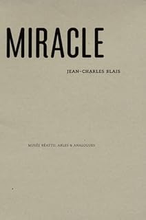 Miracle: Musée Réattu, Arles & Analogues