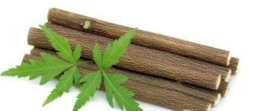 YUMMZZ Natural Neem Chew sticks/Datun/Herbal Toothbrush for healthy teeth and gums (12 Sticks) (B07QX7SYWK) Amazon Price History, Amazon Price Tracker