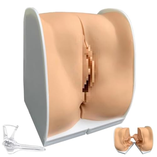 DRXRD IUD Training Model Female Gynecological Manikin Model Female Genitals Anatomy Model with Accurate Anatomy Structure Suitable for Intuitive Teaching & Practical Operation