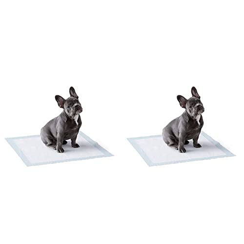 Image of Amazonbasics Pet Training and Puppy Pads, Regular - 50-Count & Pet Training and Puppy Pads, Regular - 150-Count