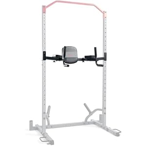 Sunny Health & Fitness Power Cage Squat Rack Upgrade Attachments, Dip Bar, Plate Bar Holder, Belt Squat, J Hook, Lat, Adapter, U Ring, Pull Up Bar, Landmine, Captain’s Chair, Tricep Rope For Home Gym