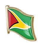 vmcoatdu Guyana Flag Pin Badge International Travel Brooch Metal Alloy Souvenir Pin for Hat Clothes Backpack (Guyana)