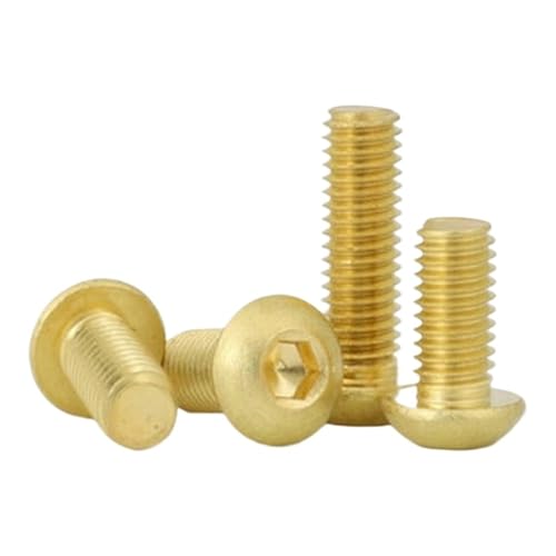 5-20 M2 .5 M3 M4 M5 M6 M8 ^JZplW ISO7380 {^wbhZp\Pbg(X25mm,M6 (5Pcs))