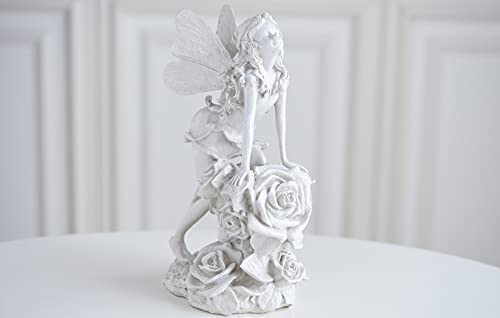 Amazon | ガーデニング イタリアン ルネッサンス・薔薇の妖精【ロココ