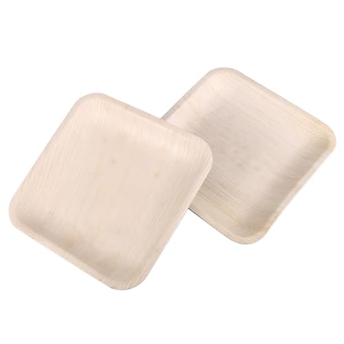 AUTSUPPL 10 ĝăp[eB[v[g ` Ŋ Hi[ aCxgpXibNg[ z̃fU[gM