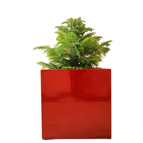Casa Mina Pflanzkübel groß außen - Fiberglas Blumenkübel viereckig - Premium Blumenkasten für Draußen - Blumenkübel Frostsicher - Blumenkasten für den Garten - Cube Hochglanz Rot - 40x40x40cm