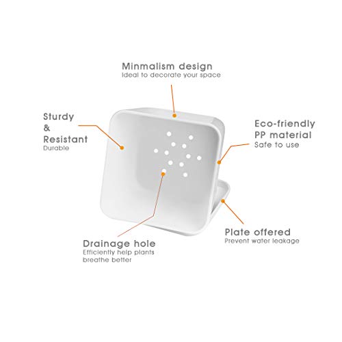 Growled 3.5 Inch Plastic Planters With Drainage Garden Pot Flower Plant Pots Modern Decorative Gardening Pot For Indoor Plants, Flowers, Herbs, Succulents, Foliage Plants, Square, White, Set Of 4 #TOP1