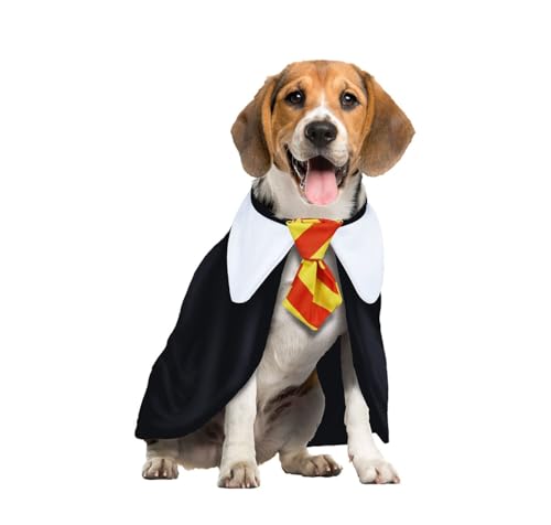 Disfraz Perro Mago. Disfraces para Perros Pequeños Medianos O Grandes. Disfraz Mascota O Disfraz Gato. Deja Que Tu Fiel Amigo Hechice El Carnaval. La Pócima Estilo Encantador. (Large)