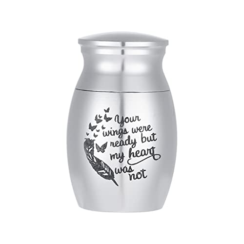 Canghai Mini Cremation Urn Small Keepsake Urns for Human and Pet Ashes Stainless Steel Ashes Keepsake Memorial Ashes Holder, Souvenir Ash Ashes Box, 25x16 mm/0.98x0.63 inch (Silver)