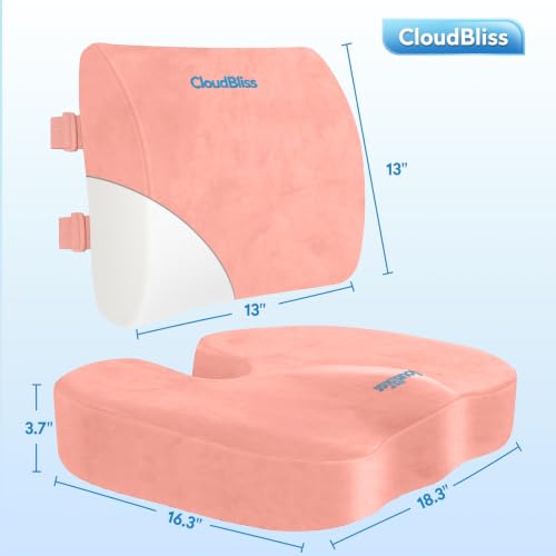Image of CloudBliss Lumbar Support Pillow & Seat Cushion Set for Office Chair, Desk Chair, Wheelchair & Car - Memory Foam Back Support, Ergonomic Chair Cushions, Sciatica Pain Relief, Home Essentials(Pink,XL)