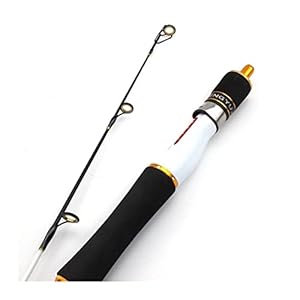 Telescopische hengel met IJs hengel koolstofstaaf 59cm klep boot paal ijs hengel vistuig set hoge zichtbaarheid ijs hengel Reizen Vissen Pole en (Color : White)