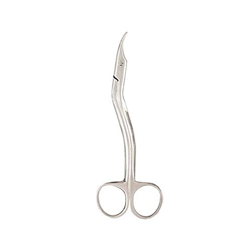 Forgesy Stainless Steel Suture Stich Cutting Scissor (6 Inches) (B085NNZ34P) Amazon Price History, Amazon Price Tracker