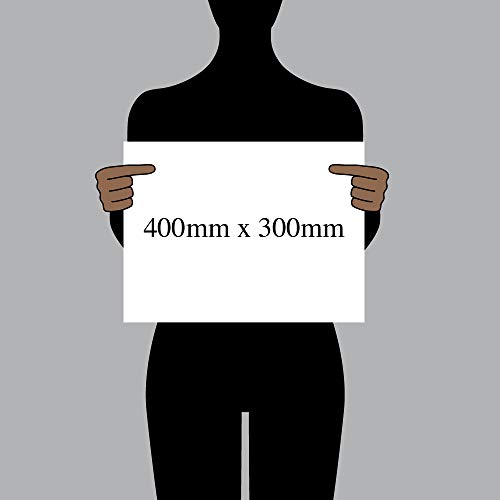 Do not put anything down the toilet Prohibition Sign PV5699A3LV