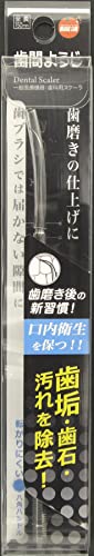 歯磨き 歯石 歯垢 ヤニ 歯の間 歯の裏 口腔ケア オレンジケアプロダクツ 歯間ようじ 1個 (x 1)の商品画像（Amazon）